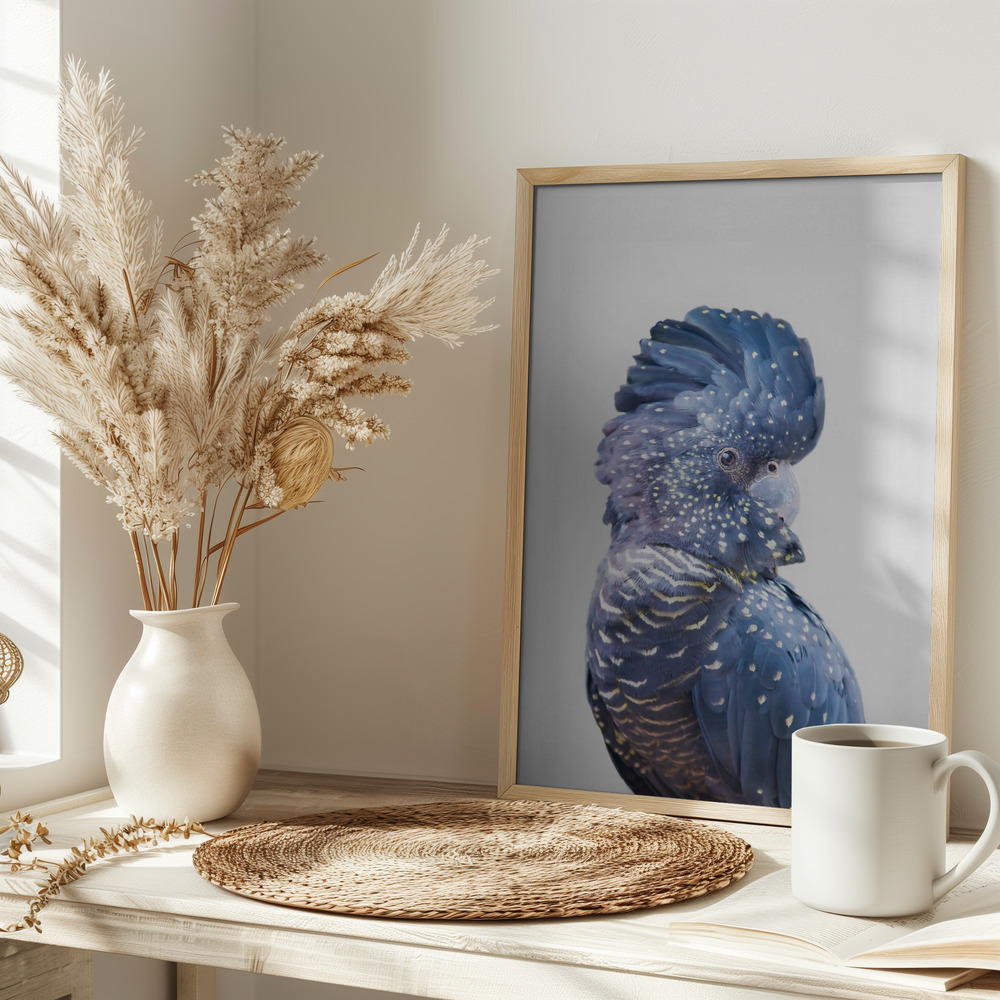 Poster - Black Cockatoo on table