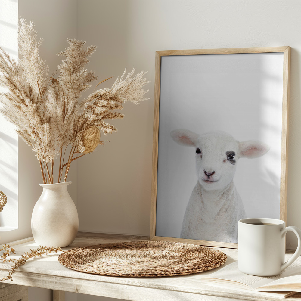 Poster - Baby Lamb on table