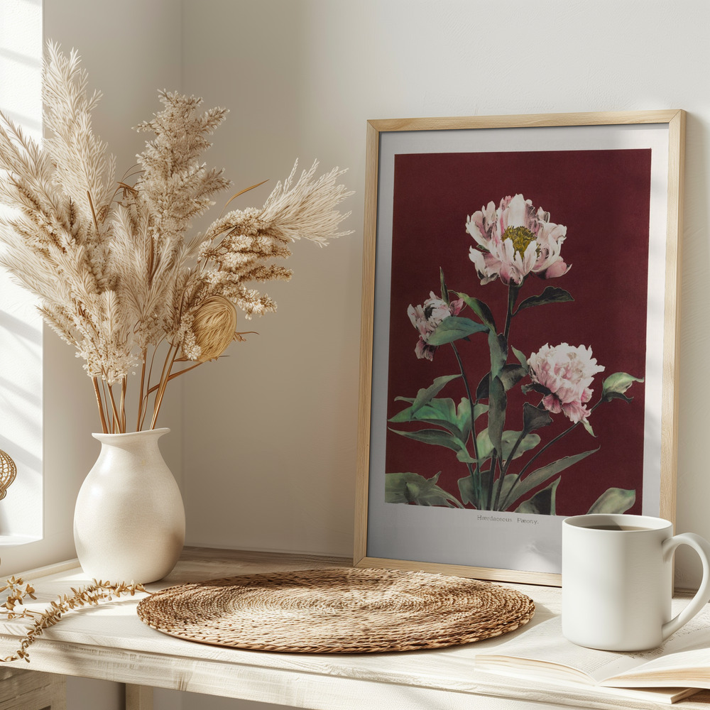 Juliste - Hærdaceous Peony no2 pöydällä