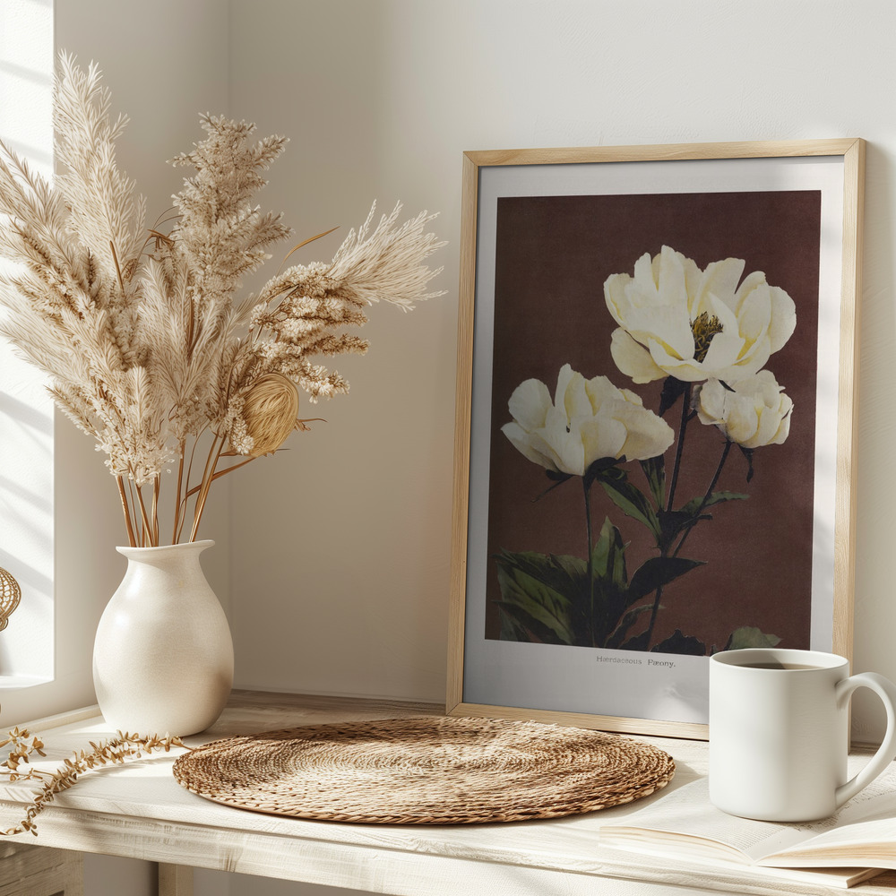 Juliste - Hærdaceous Peony pöydällä