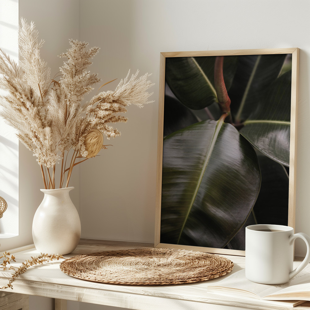 Poster - Ficus Bubu on table