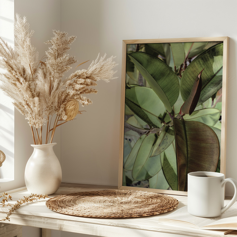 Plakat - Ficus Elastica på bordet