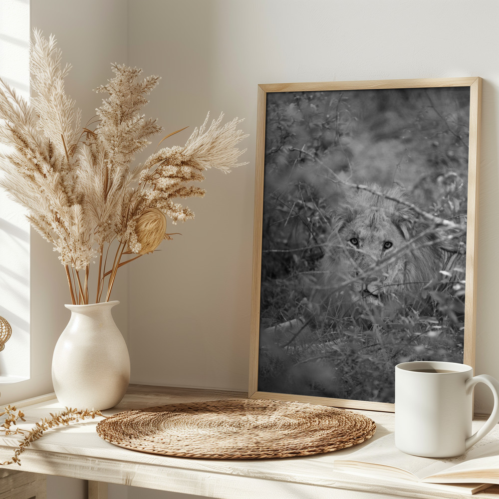 Poster - Lion on table