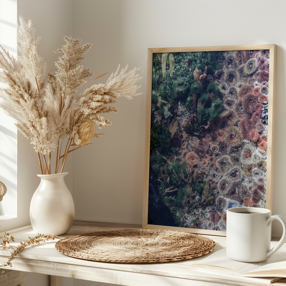 Poster - Ocean Curiosities on table