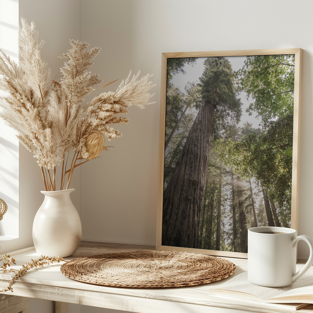 Poster - Redwoods on table