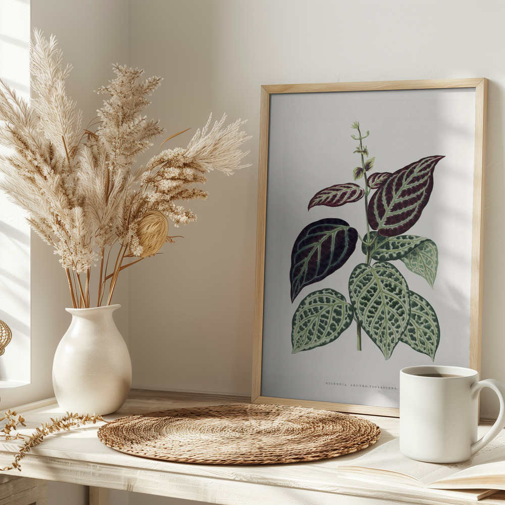 Poster - Green Bignonia Argyro Violascens Leaf Illustration op tafel