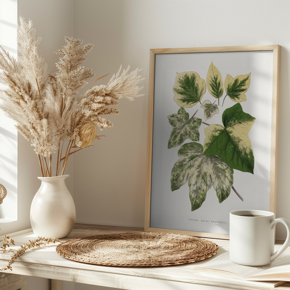 Poster – Green Leaf Illustration på bordet
