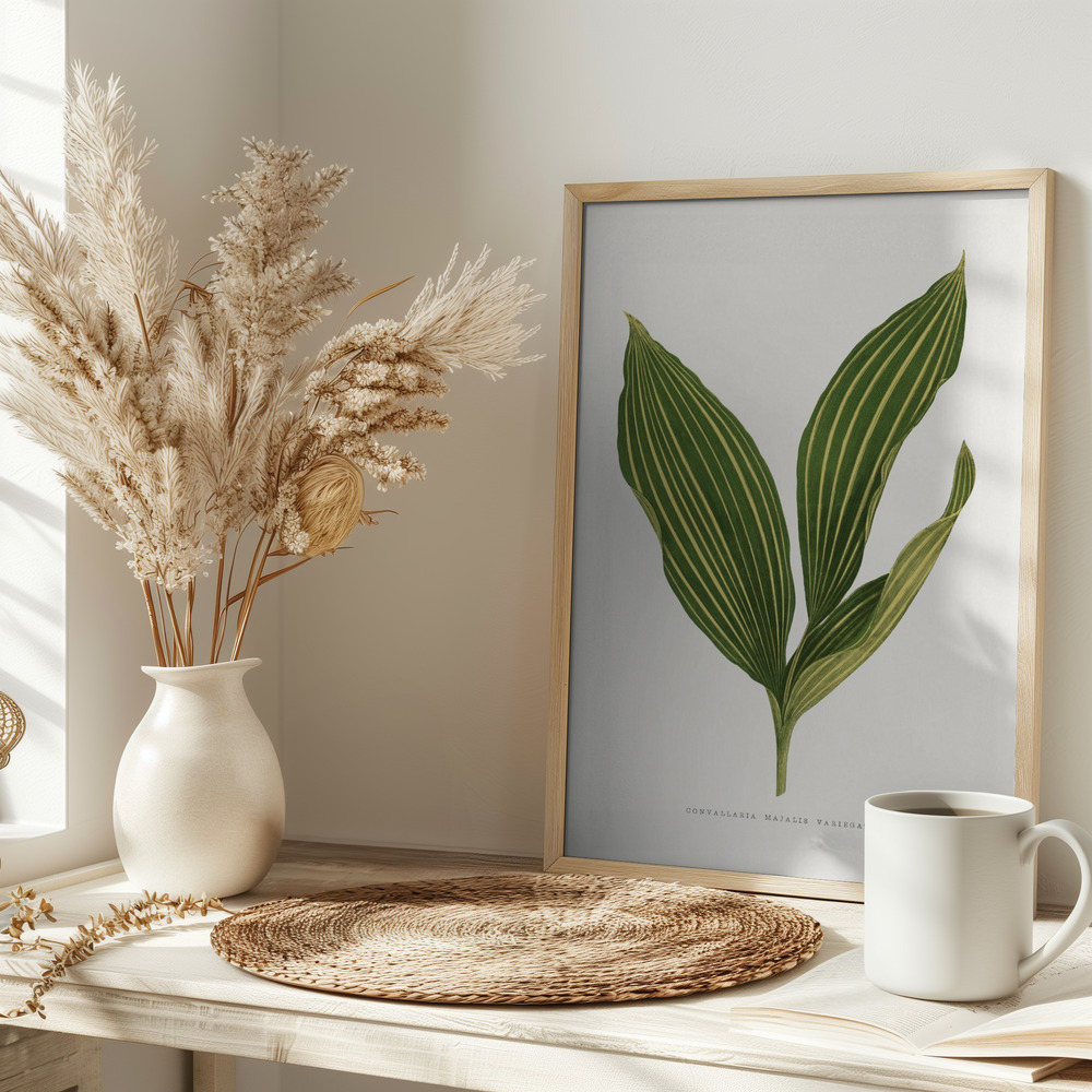 Juliste - Lily of the Valley Leaf Illustration pöydällä