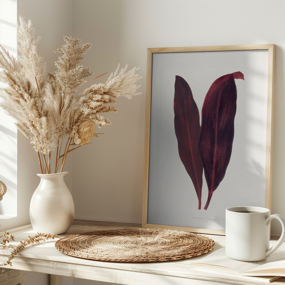 Plakat - – Pink Dracaena Ferrea Leaf Illustration på bordet