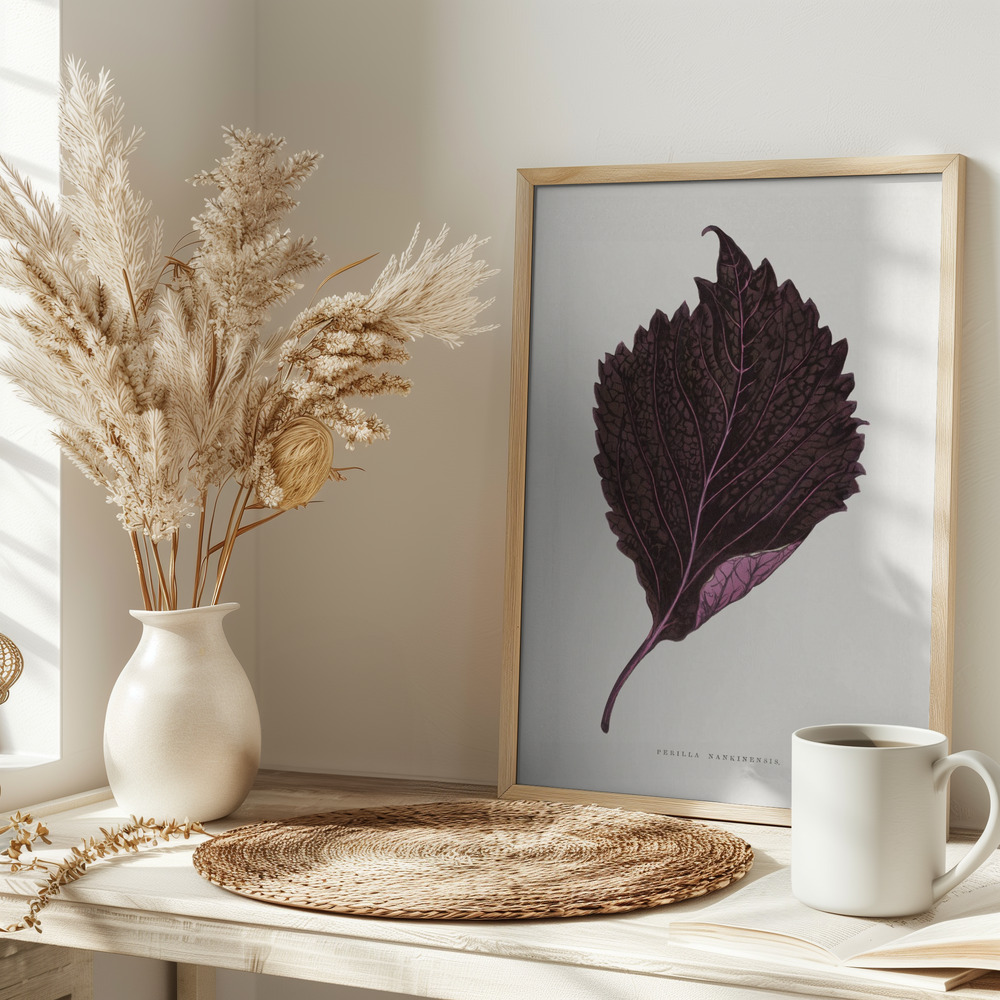 Poster - Pink Perilla Nankinensis Leaf Illustration on table