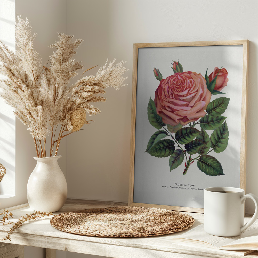 Poster - Pink Rose, Glorie De Dijon Lithograph on table