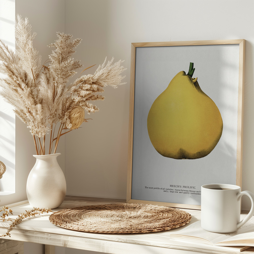 Juliste - Meech's Prolific Pear Lithograph pöydällä