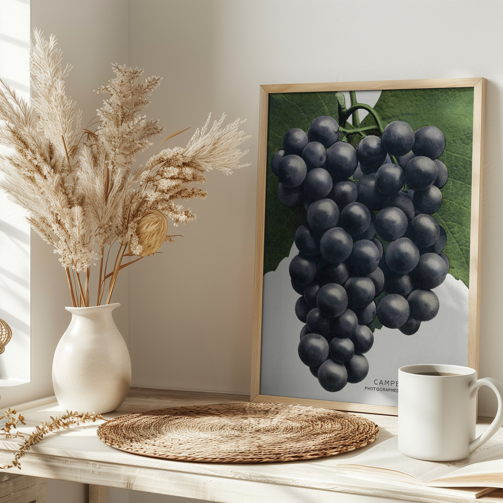 Poster - Campbell's Early Grape Lithograph op tafel