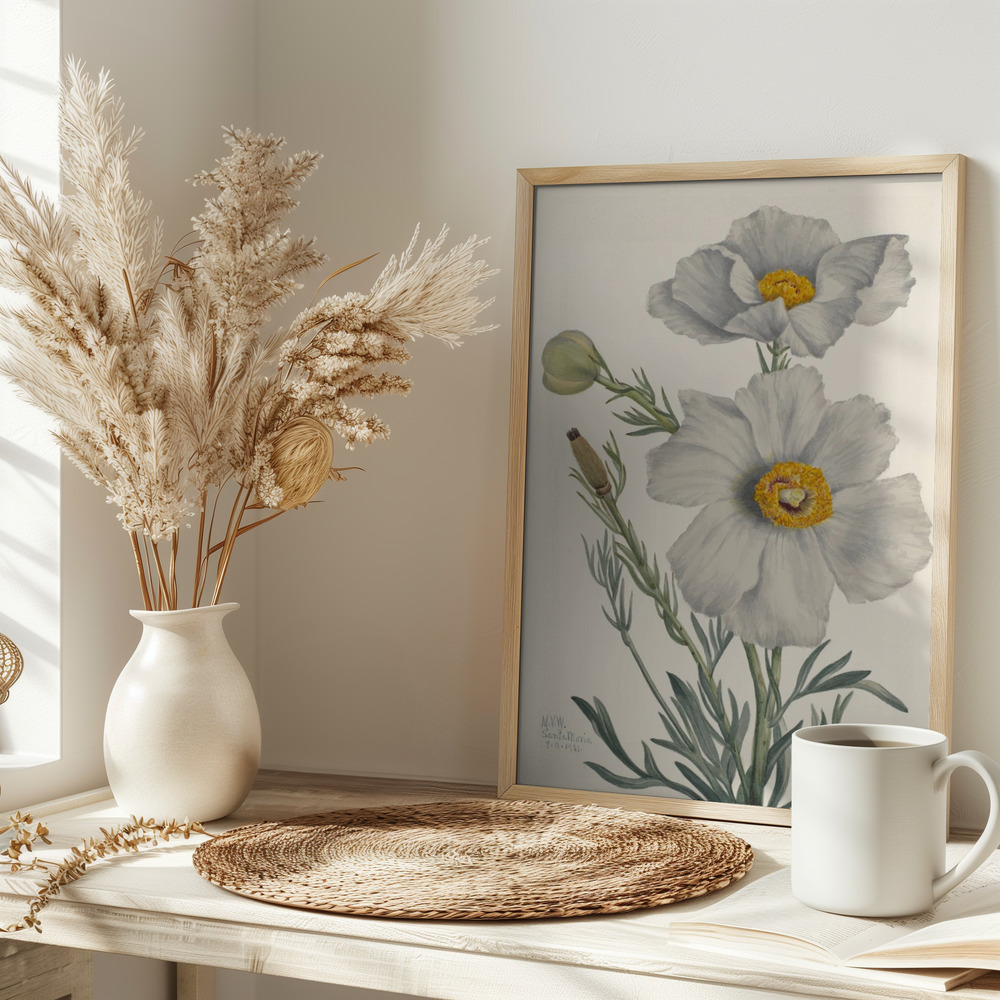 Affiche - Matilija Poppy sur la table