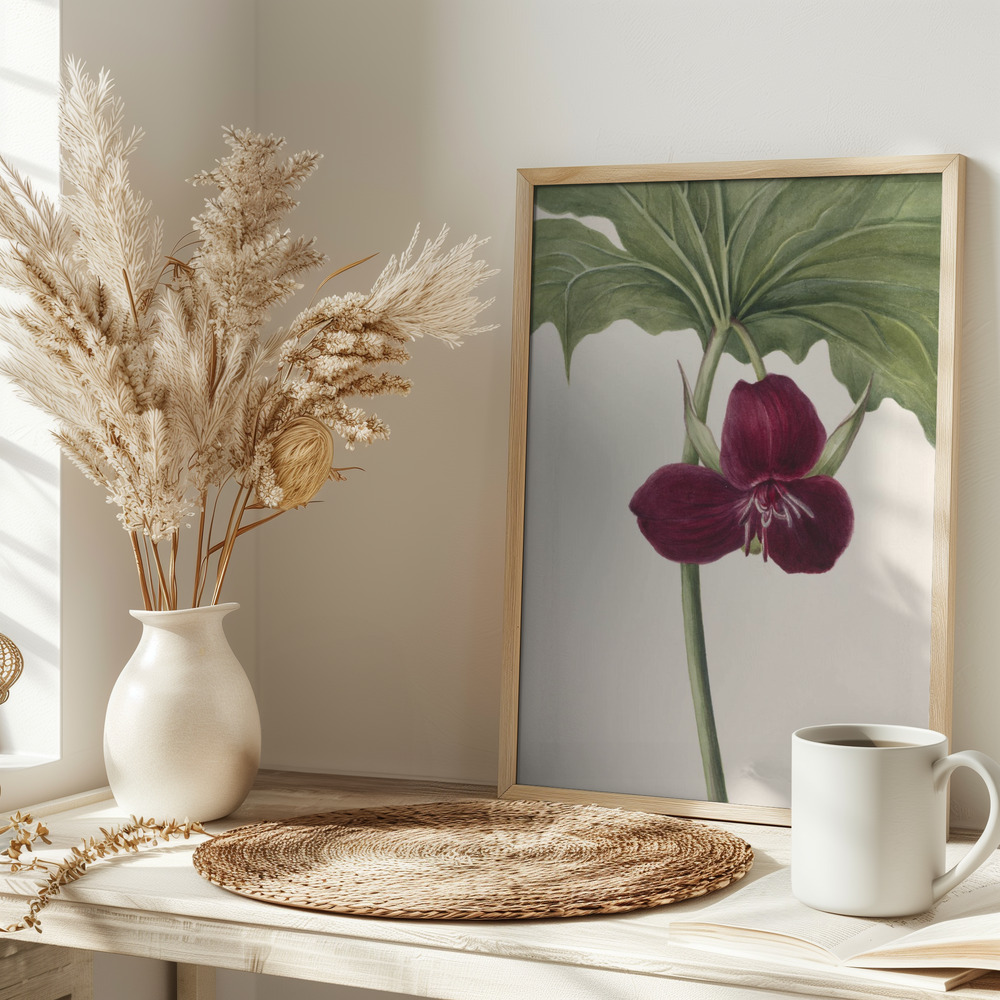 Poster - Sweet Trillium on table