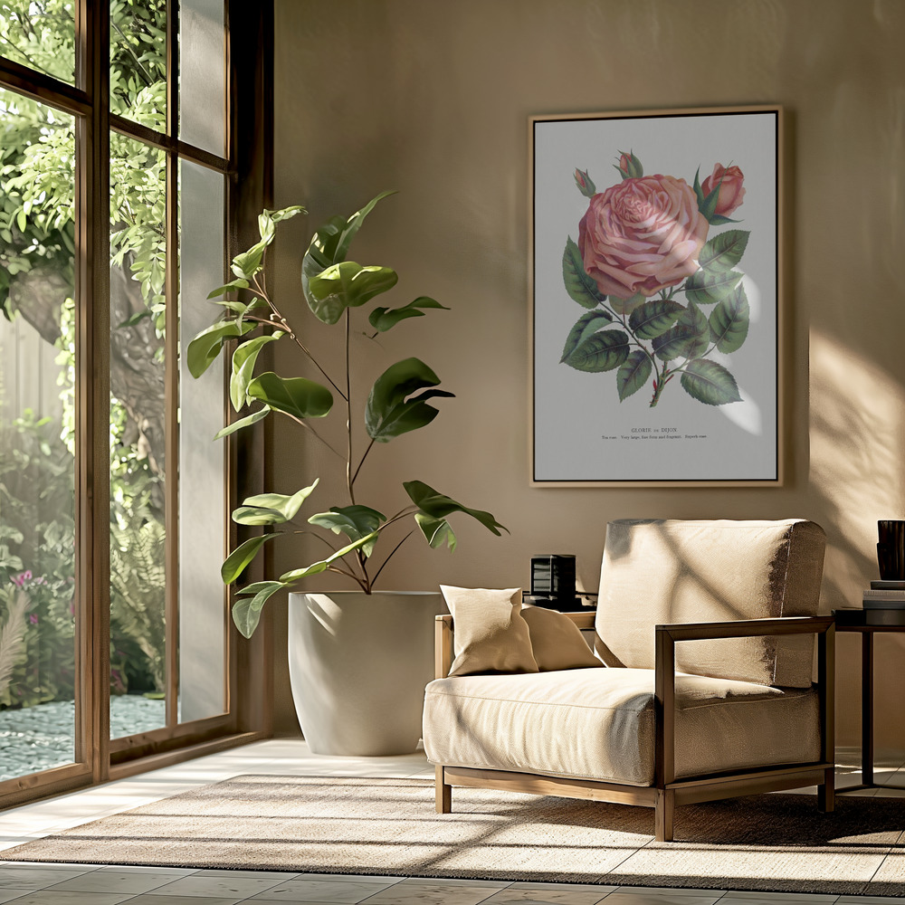 Toile - Pink Rose, Glorie De Dijon Lithograph dans le salon