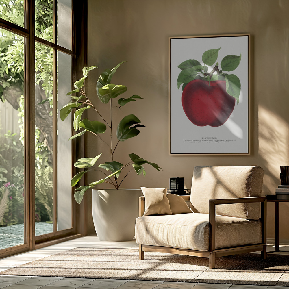 Obraz na płótnie - Mcintosh Red Apple Lithograph w salonie