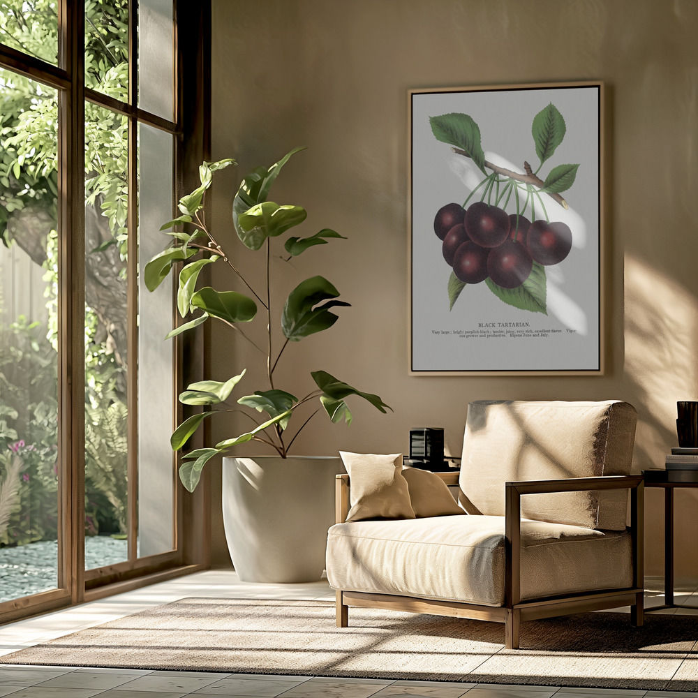 Lærred - Black Tartarian Cherry Lithograph i stuen