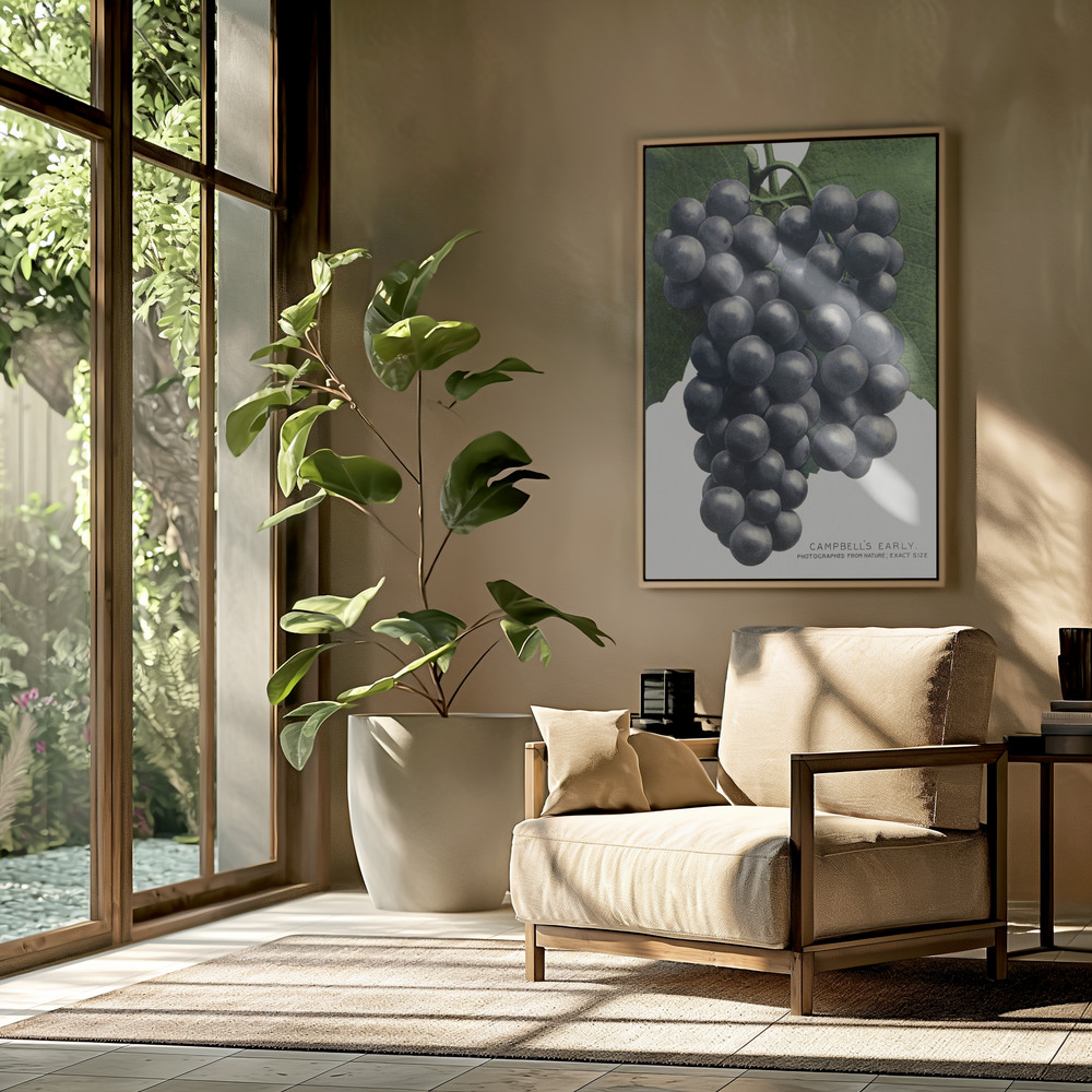 Lærred - Campbell's Early Grape Lithograph i stuen