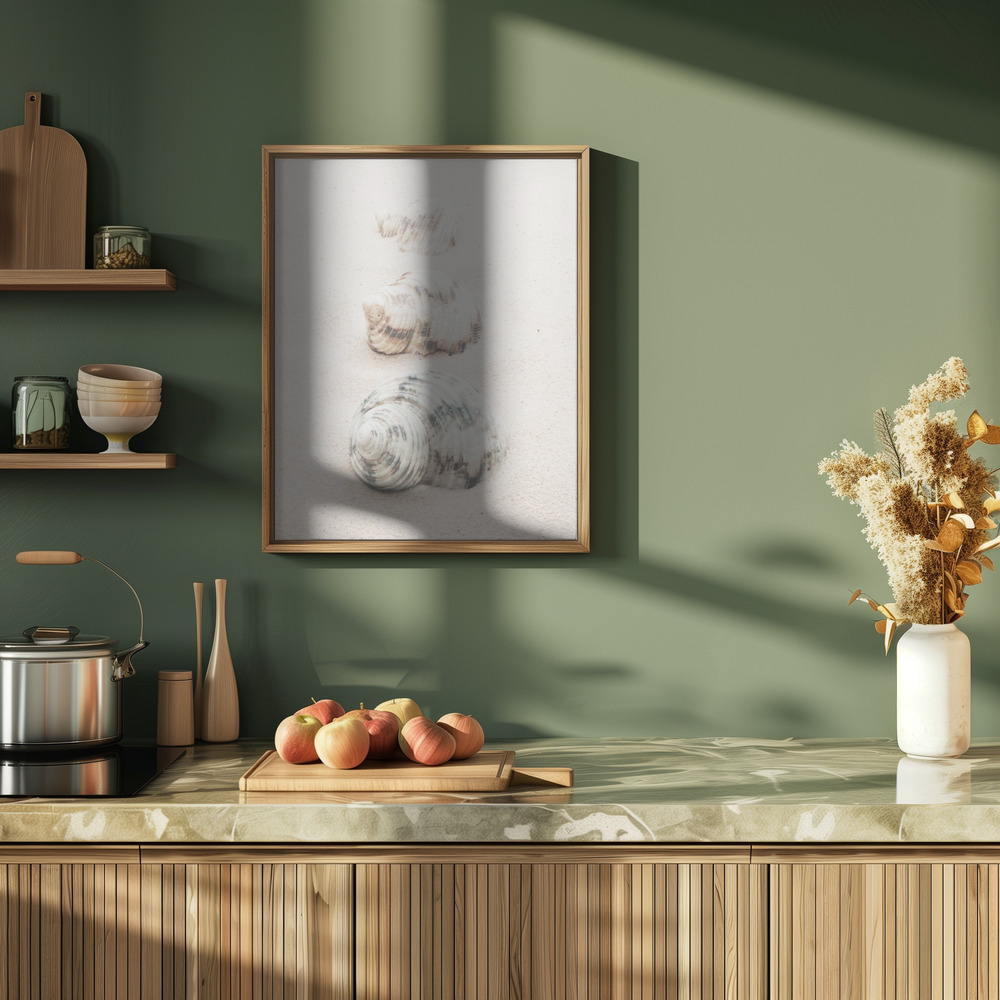 Poster - Shells in kitchen