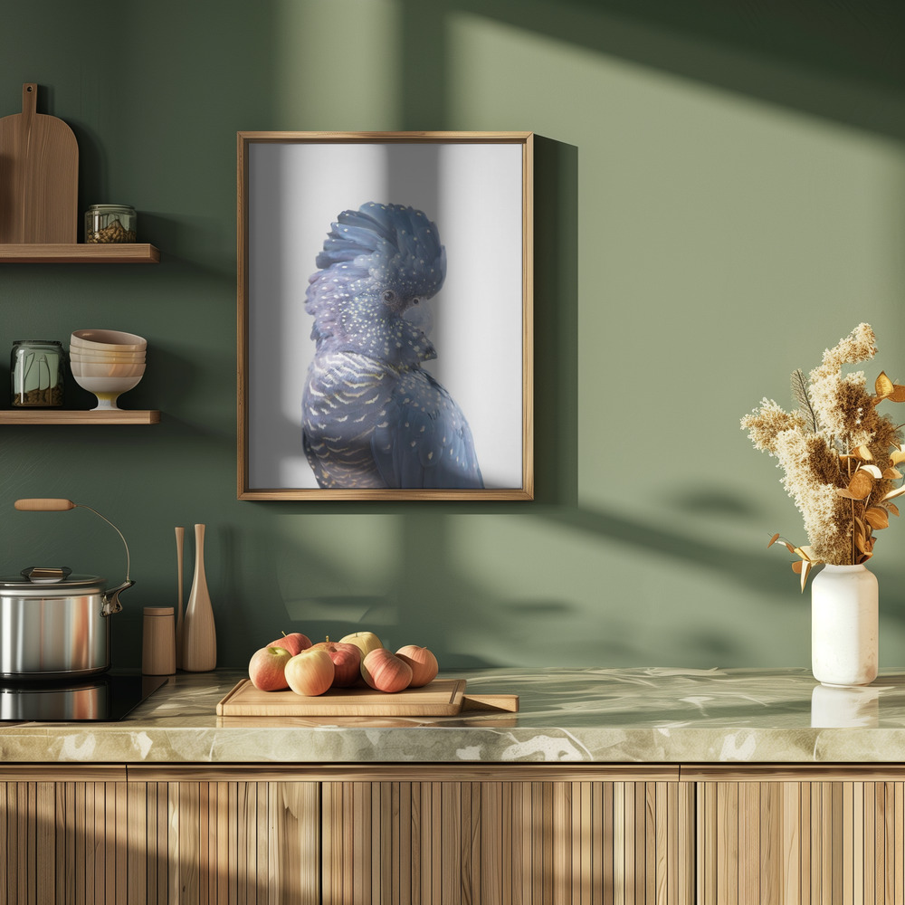 Poster - Black Cockatoo in kitchen