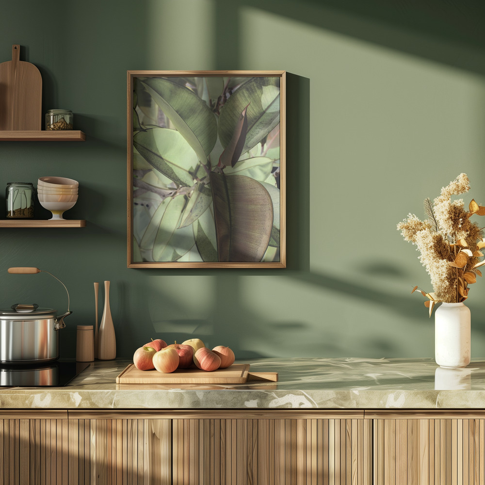 Plakat - Ficus Elastica i køkkenet