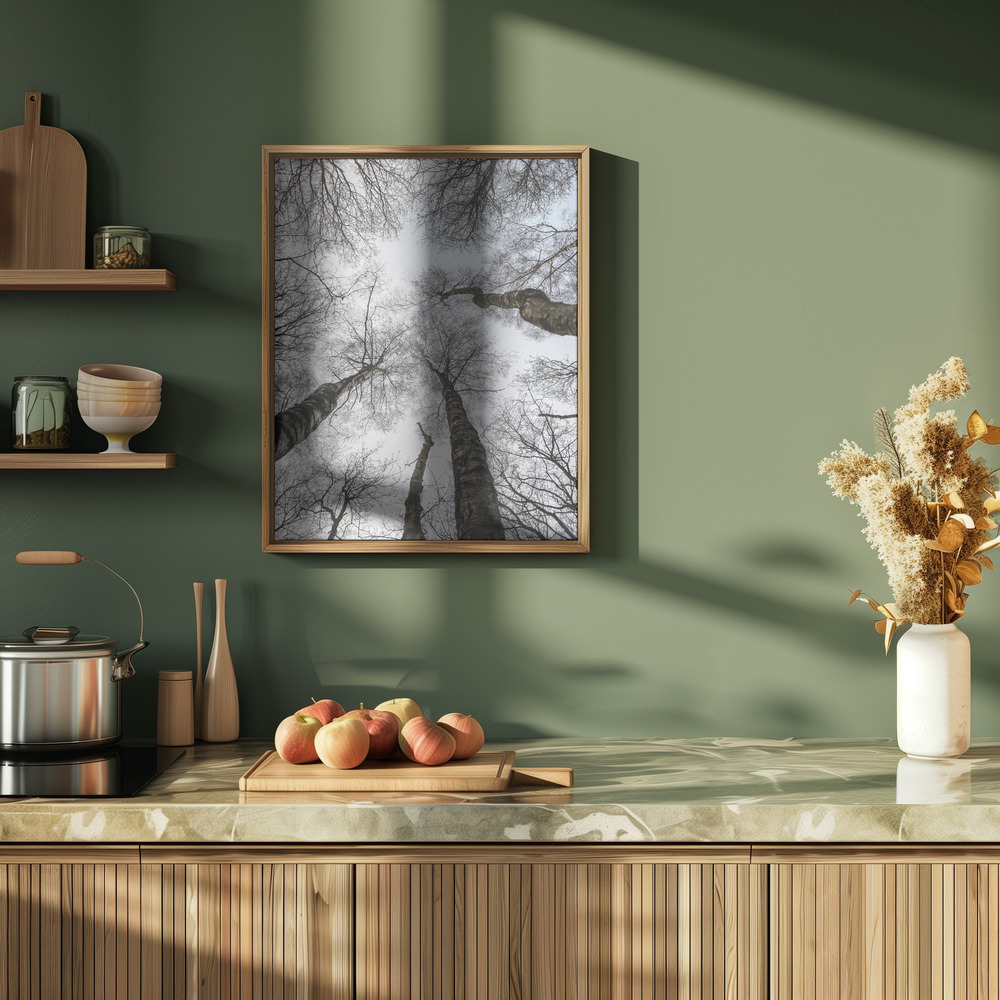 Poster - Forest No1 in der Küche