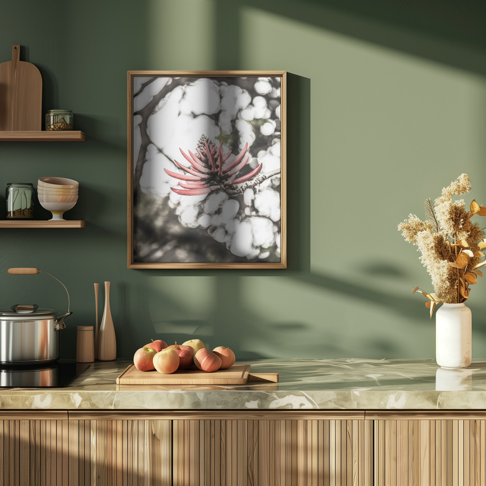 Plakat - La Coral i køkkenet