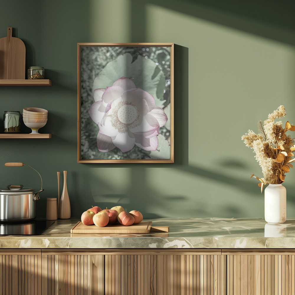 Poster - Lotus in der Küche