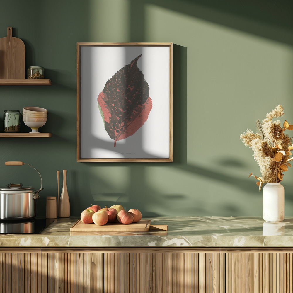 Poster - – Acalypha Tricolor Leaf Illustration in kitchen