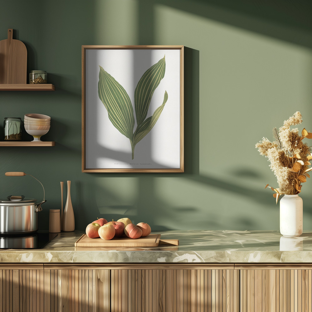 Juliste - Lily of the Valley Leaf Illustration keittiössä