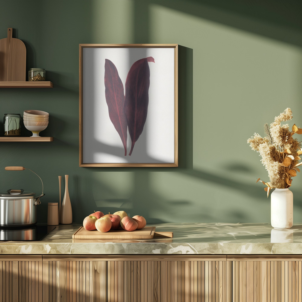 Plakat - – Pink Dracaena Ferrea Leaf Illustration i køkkenet
