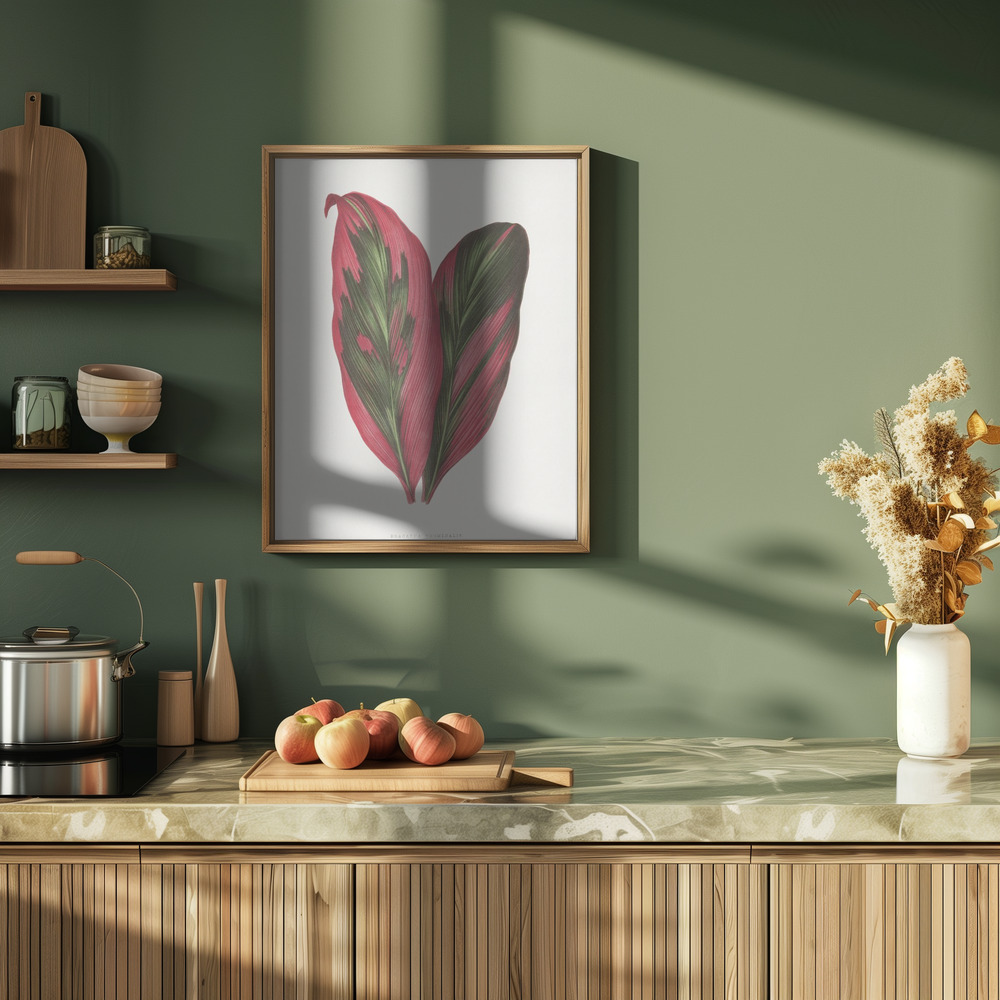Juliste - Pink Dracaena Terminalis Leaf Illustration keittiössä