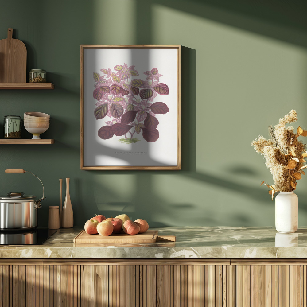 Plakat - Pink Teleianthera Ficoidea Leaf Illustration i køkkenet