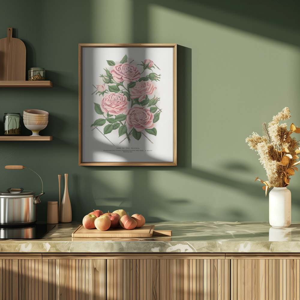 Juliste - Pink Rose, Gem of the Prairie Lithograph keittiössä