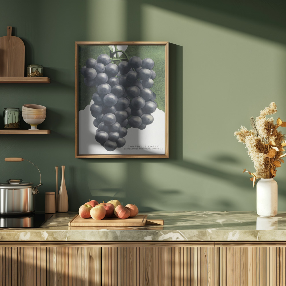Poster - Campbell's Early Grape Lithograph in de keuken