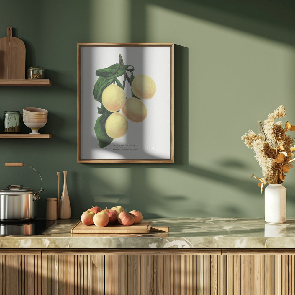 Poster - Coe's Golden Drop Plum Lithograph in kitchen