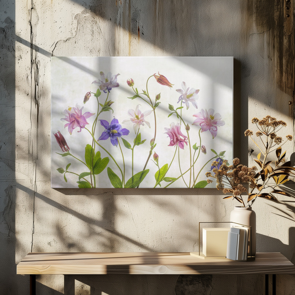 Leinwandbild - Columbine über dem Esstisch