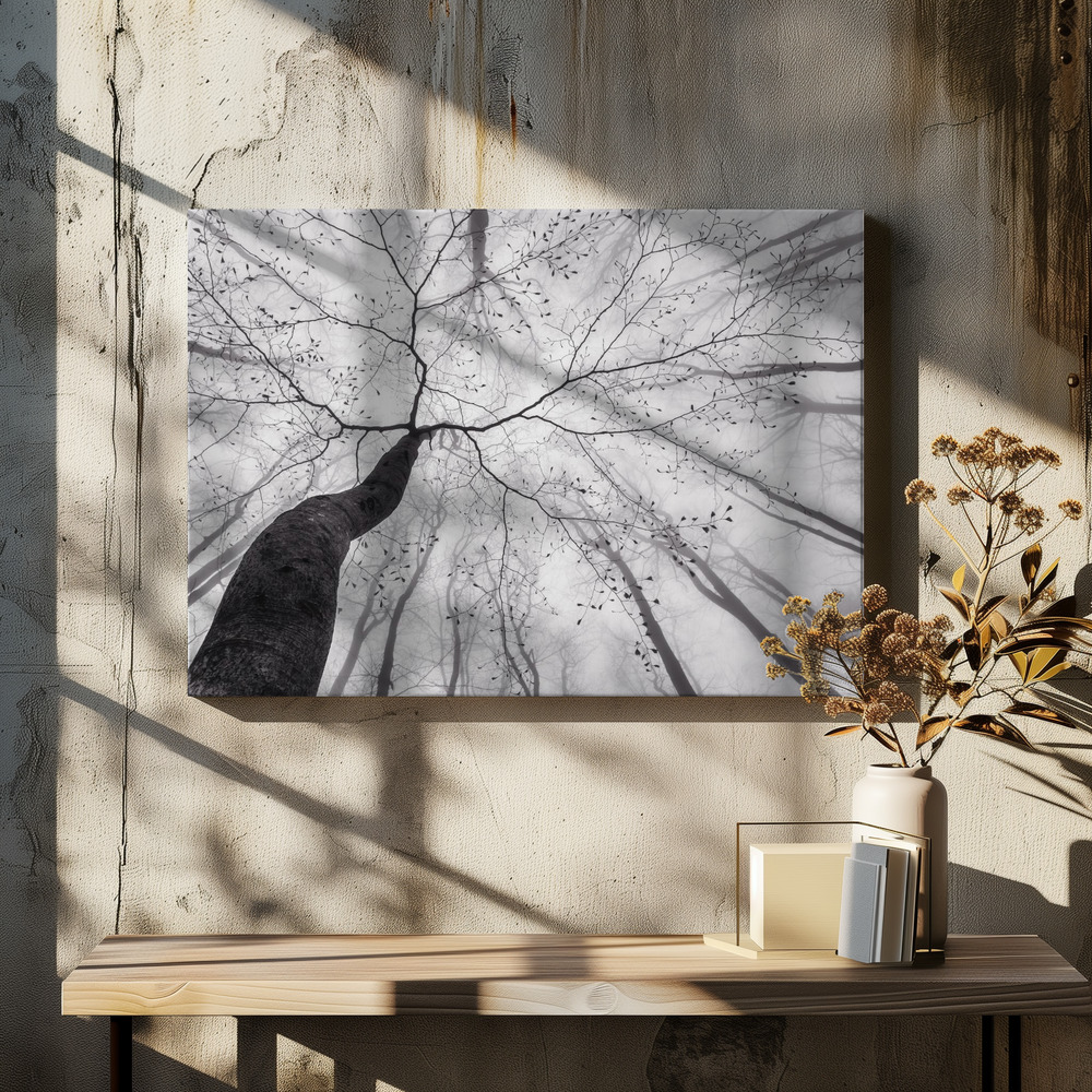 Canvas print - A view of the tree crown over dining table