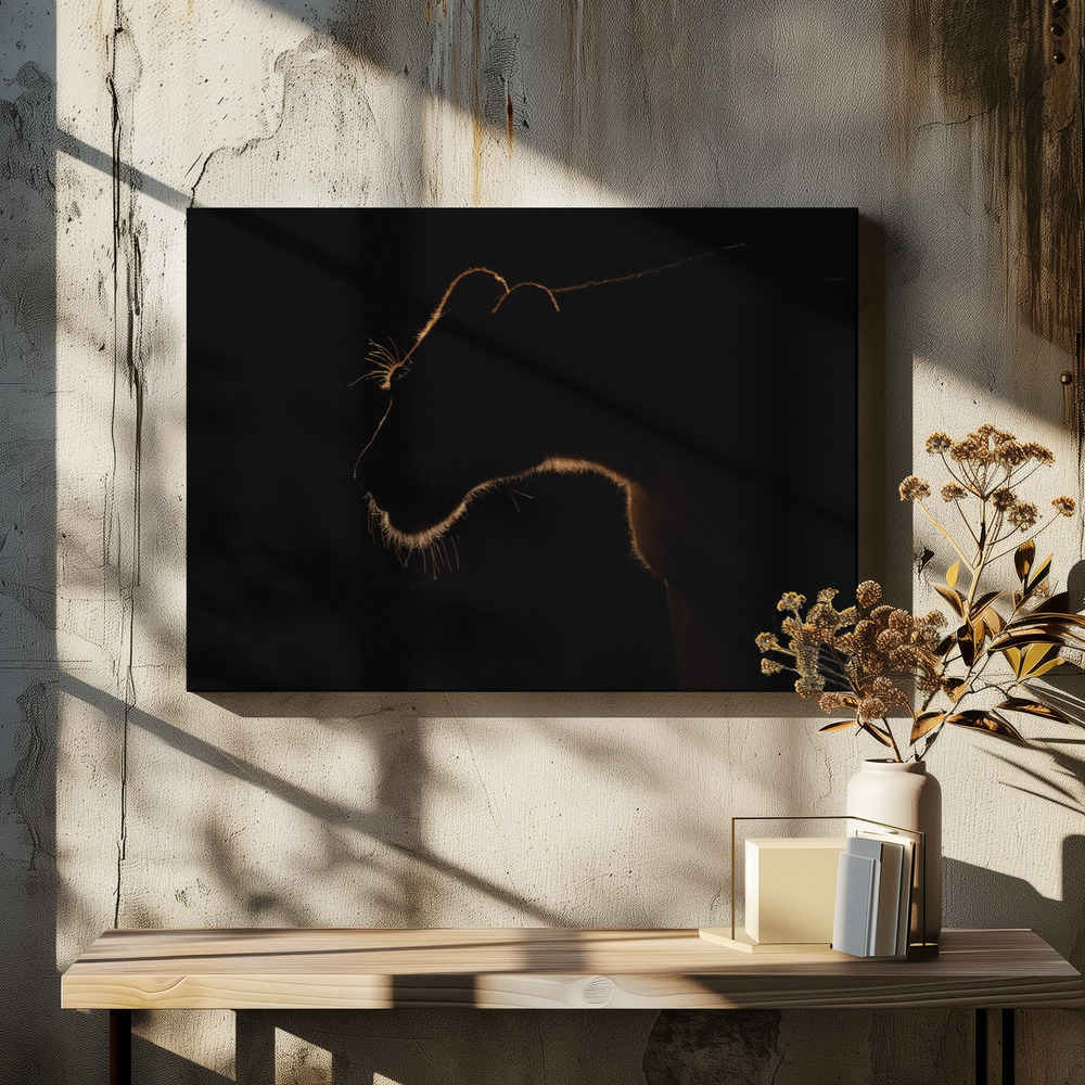 Canvas taulu - Silhouette of the Savanna ruokapöydän yli