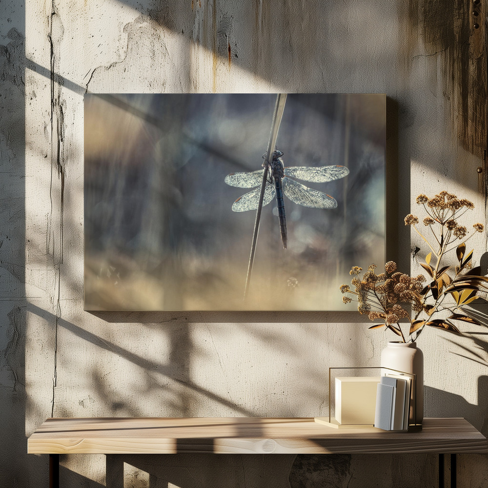 Canvas schilderi - Wings boven eettafel