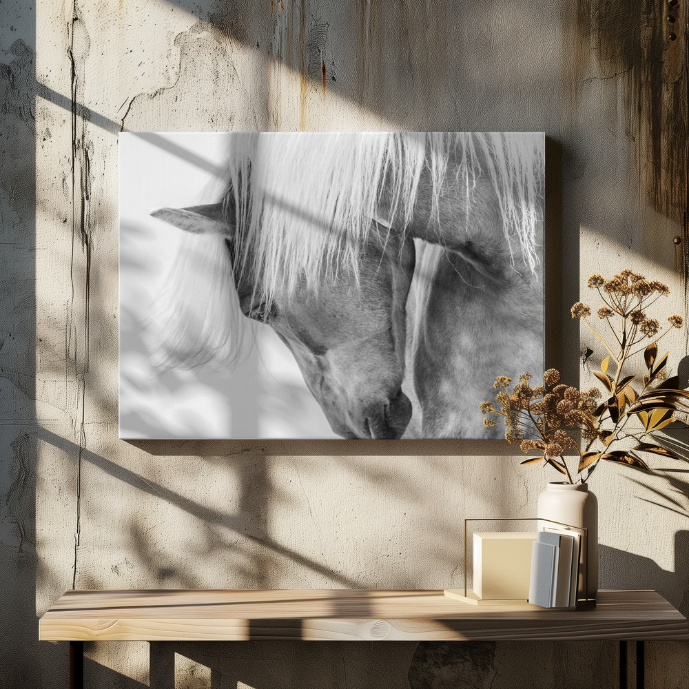 Canvas print - Halflinger Portrait over dining table