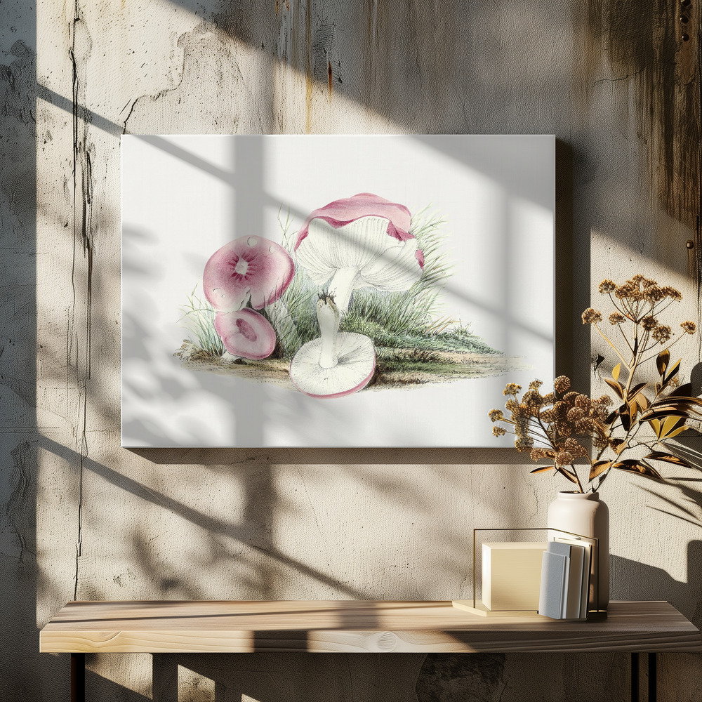 Canvas print - Vintage Russula Emetica Mushroom over dining table