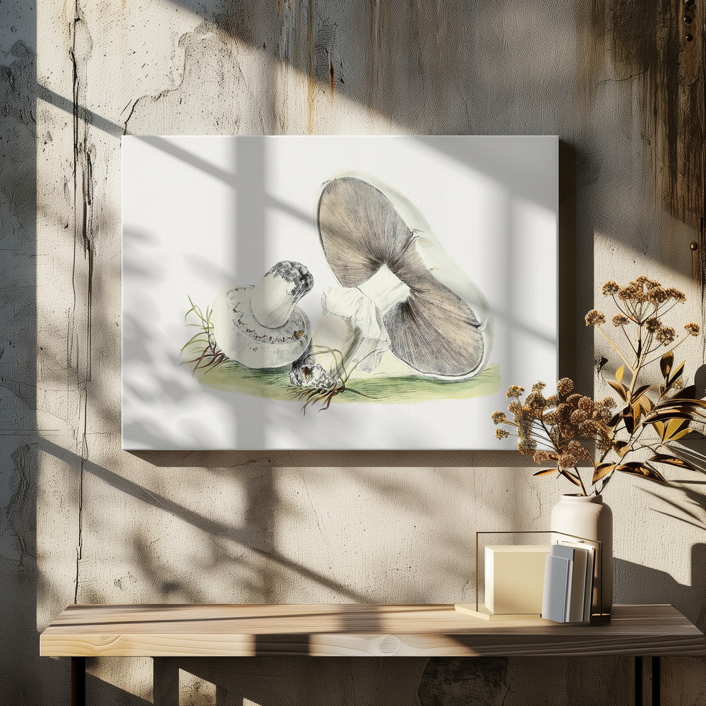 Canvas print - Hand Drawn Horse Mushroom over dining table