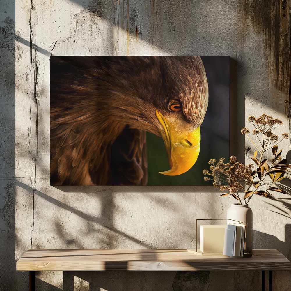 Canvas schilderi - Eagle pursues prey boven eettafel