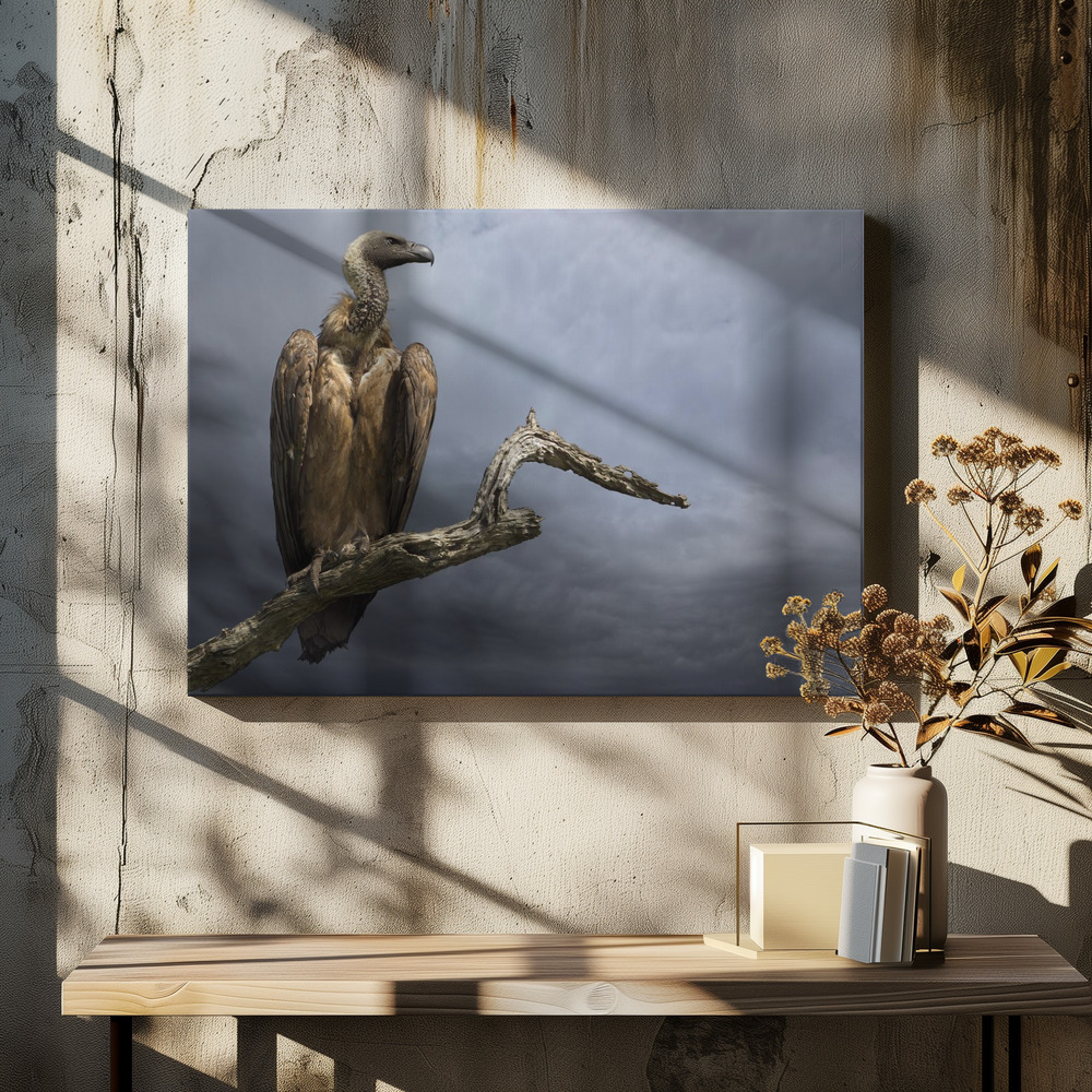 Canvas taulu - The Vulture ruokapöydän yli