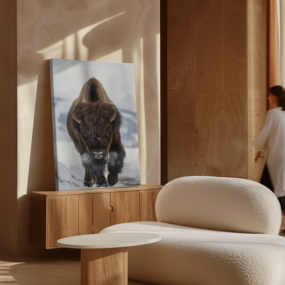 Canvastavla Bison Incoming - Tavla över skåp
