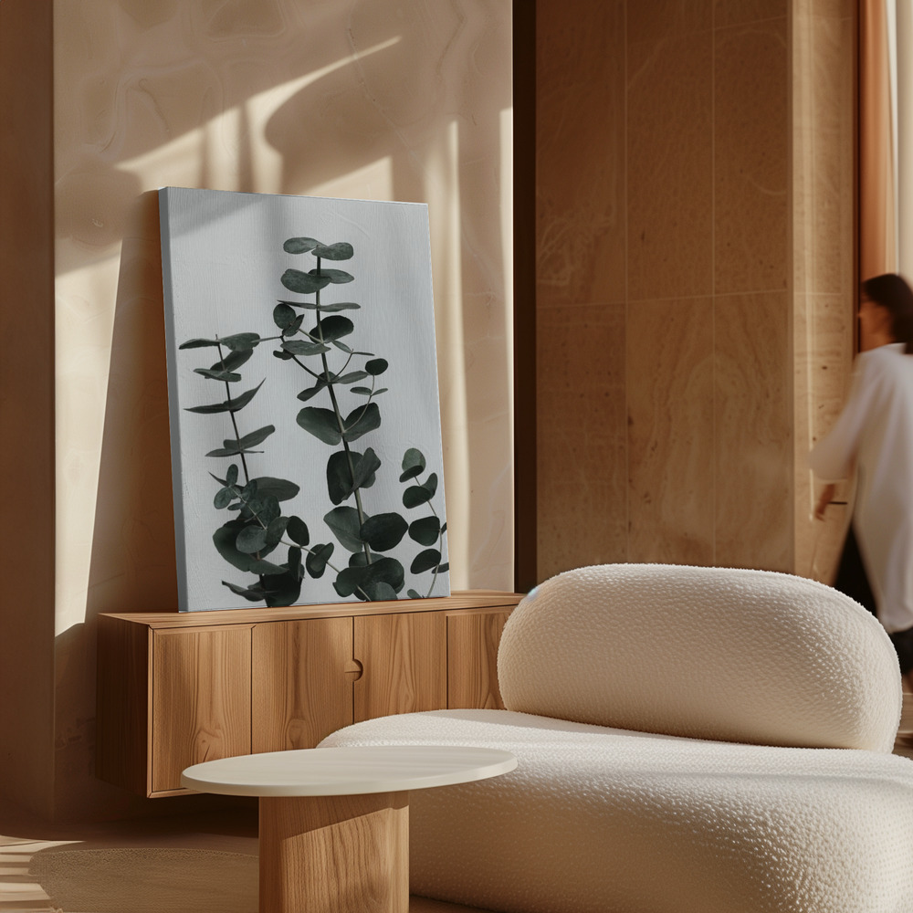 Canvas taulu - Eucalyptus Natural 11 kaapin yläpuolella