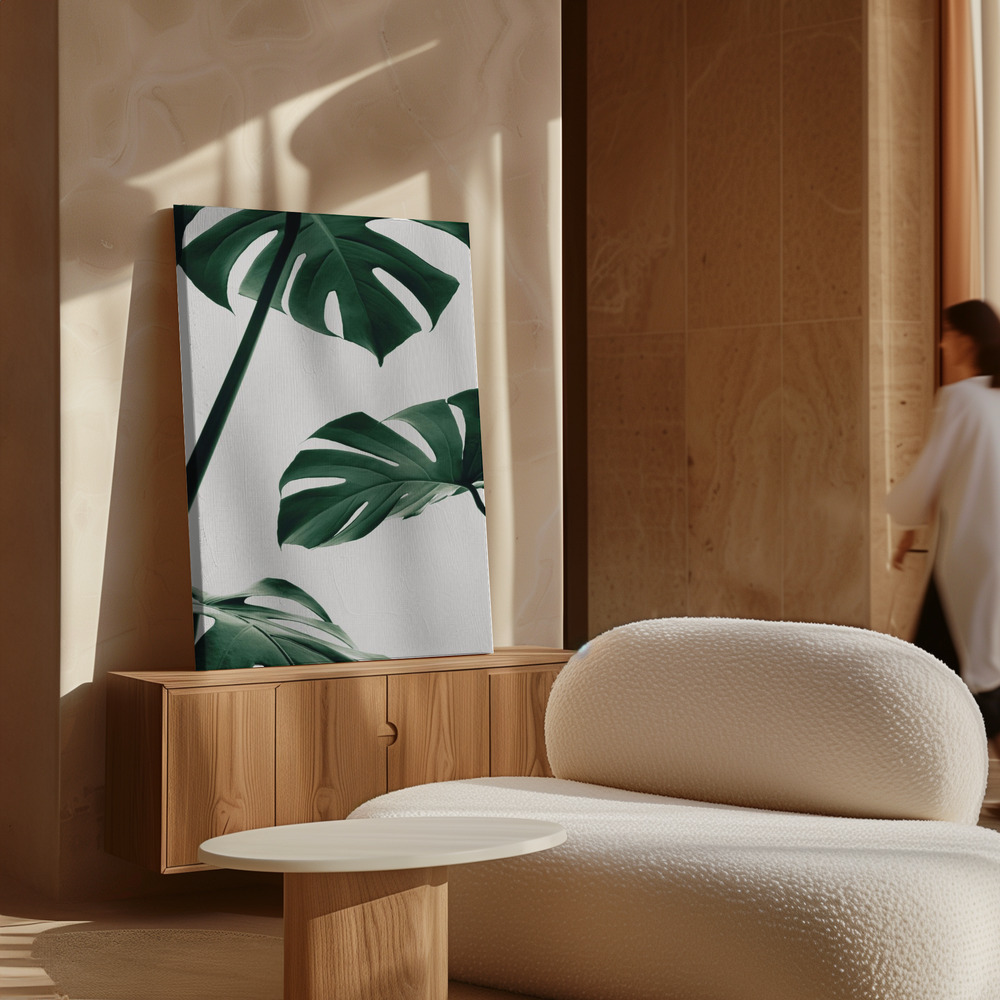Canvas taulu - Monstera Natural 13 kaapin yläpuolella