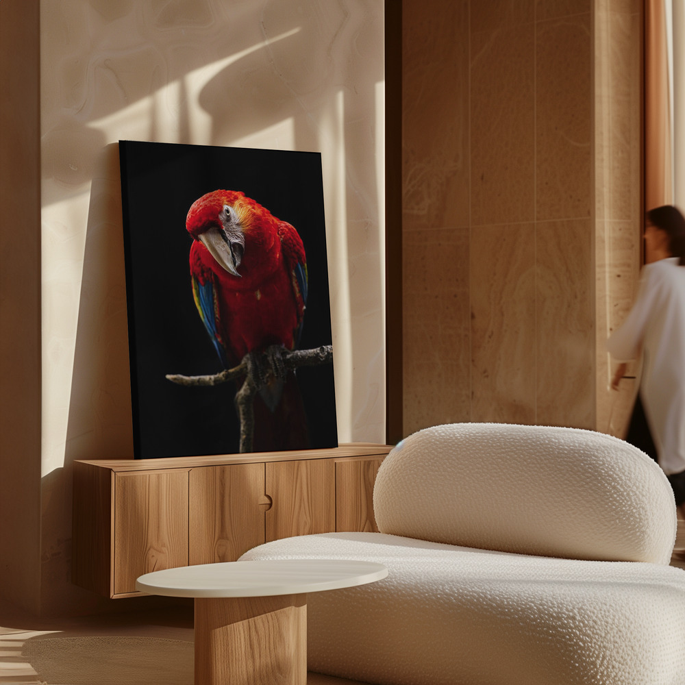 Lienzo - Portrait of Scarlet Macaw sobre armario